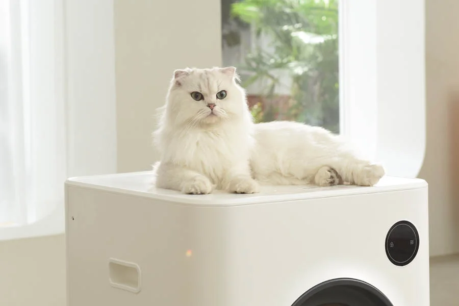 robot cat litter boxes